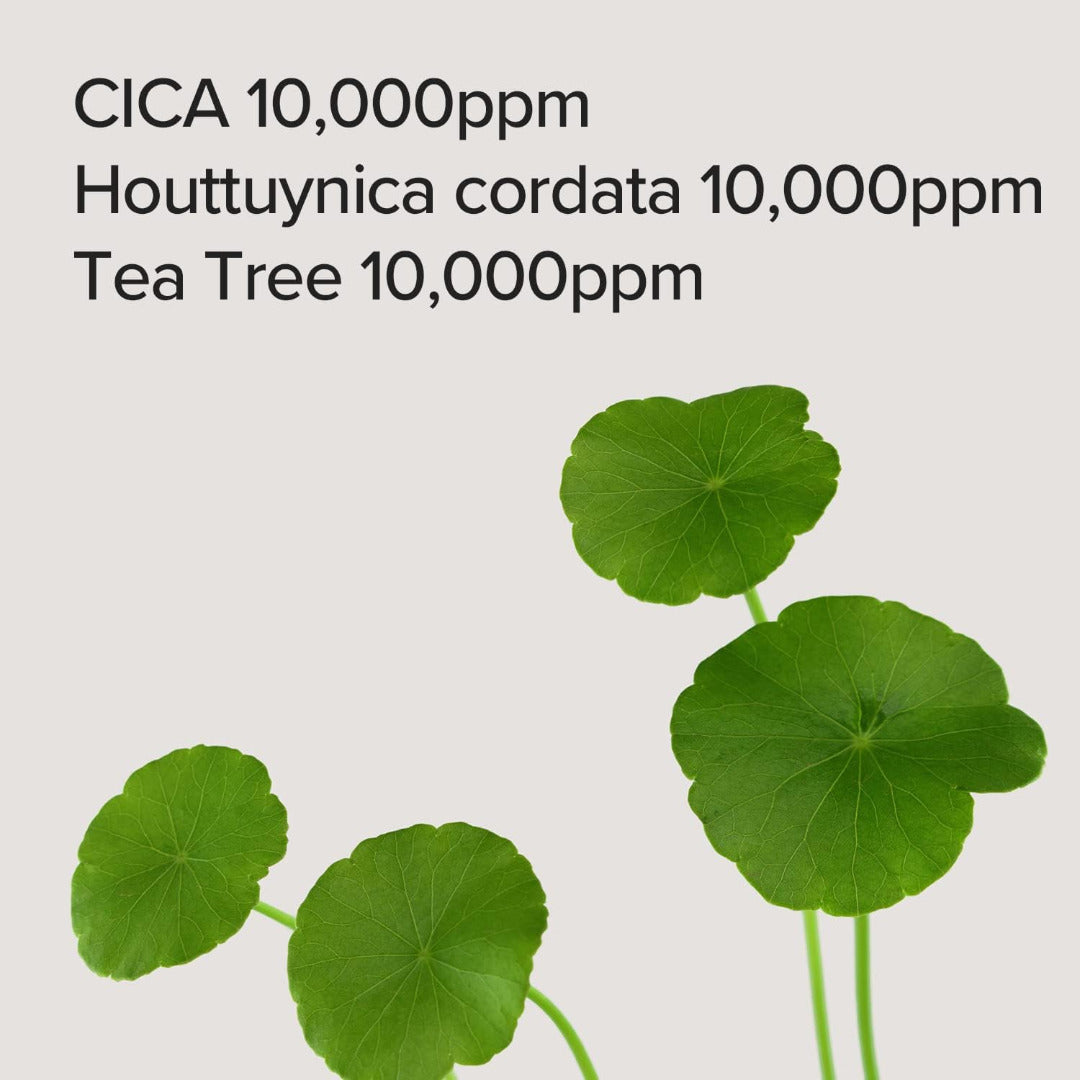 CICA Houttuynia Tea Tree Calming Mask