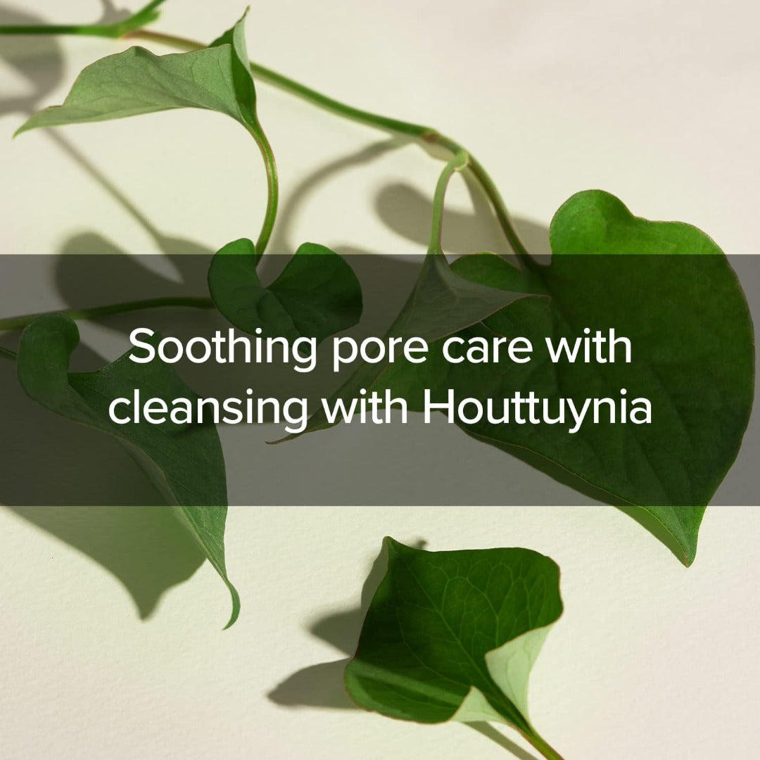 Houttuynia Cordata + Tea Tree Cleansing Foam